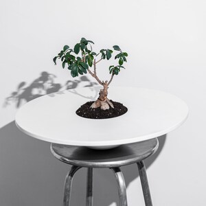 White Desk Planter Succulent Pots Modern Indoor Planters for Housewarming Gifts Corian® Succulent Cactus Planter for Bathroom Decor image 5