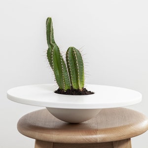 White Desk Planter Succulent Pots Modern Indoor Planters for Housewarming Gifts Corian® Succulent Cactus Planter for Bathroom Decor image 1