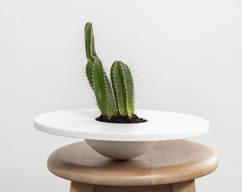 White Desk Planter Succulent Pots Modern Indoor Planters for Housewarming Gifts - Corian® Succulent Cactus Planter for Bathroom Decor