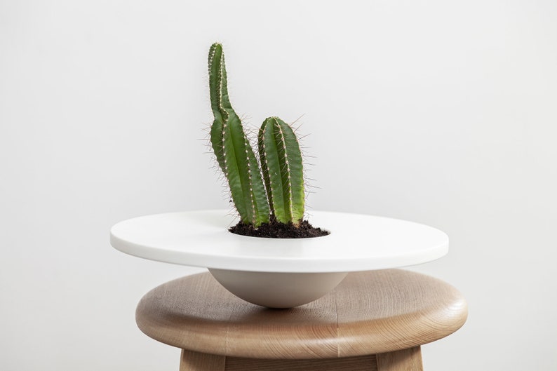 White Desk Planter Succulent Pots Modern Indoor Planters for Housewarming Gifts Corian® Succulent Cactus Planter for Bathroom Decor image 1