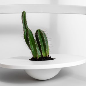 White Desk Planter Succulent Pots Modern Indoor Planters for Housewarming Gifts Corian® Succulent Cactus Planter for Bathroom Decor image 4