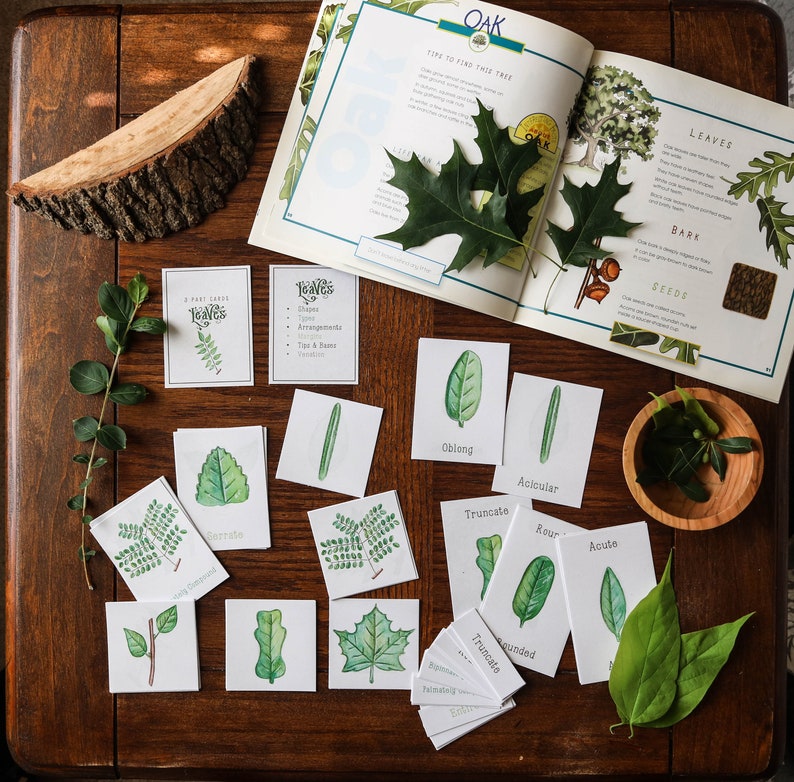 Leaves cards