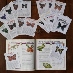 Butterfly Fact Cards; Butterfly Cards for Nature Study; Butterfly Identification Guide; Montessori; Charlotte Mason; Nature Study