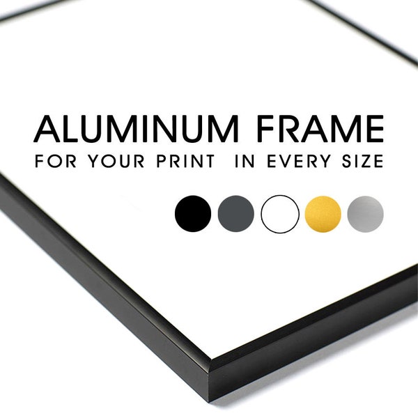 Cadre en aluminium pour affiches photographiques. Toutes les tailles et toutes les couleurs : noir, blanc, graphite, argent, or. A5 A4 A3 A2 A1 50 x 70 24 x 36 70 x 100 18 x 24 15 x 21