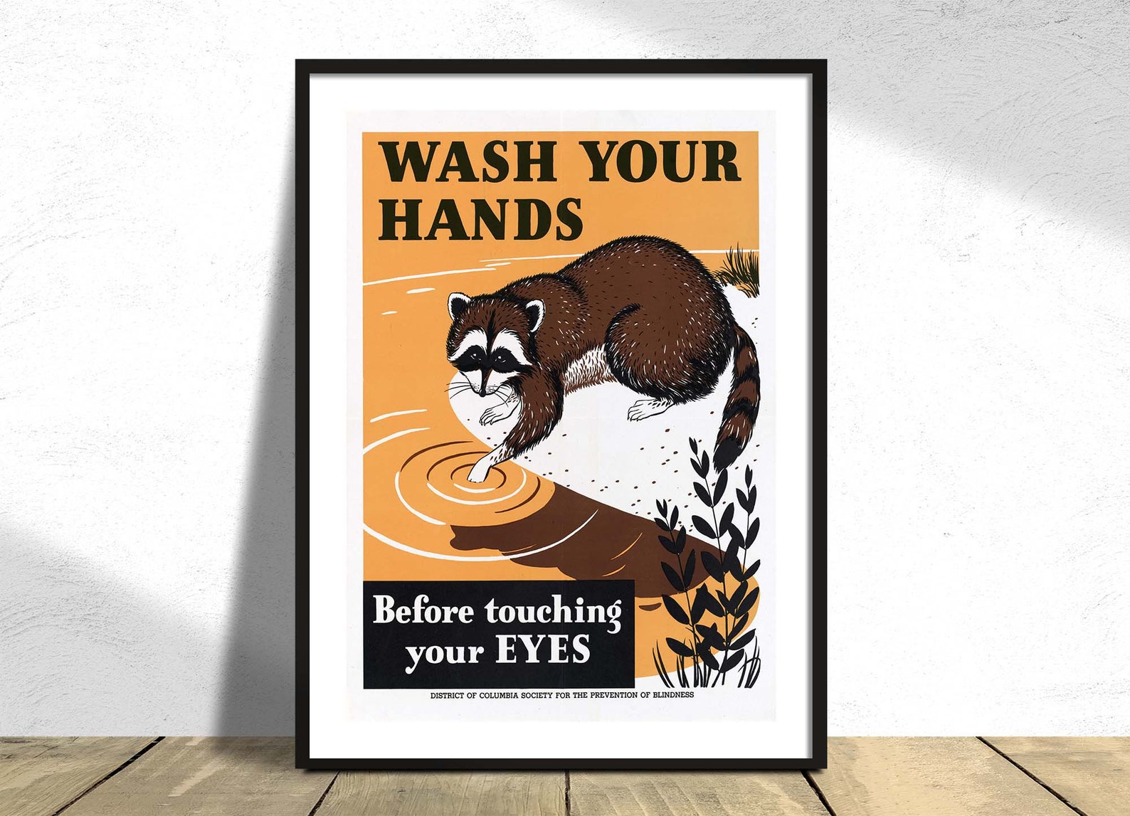 Wash Your Hands Before Touching Your Eyes - Nara | Vintage Raccoon ...