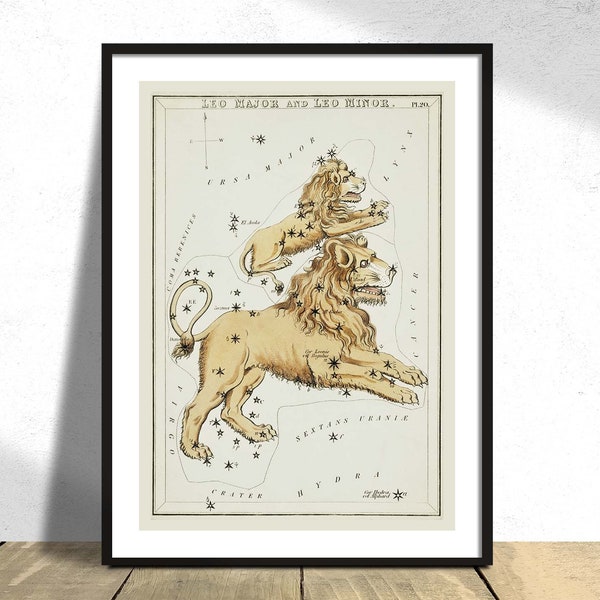 Astronomical chart illustration of the Leo Major and the Leo Minor-Sidney Hall | Vintage Art, Constellation Star Map Poster, Astrology Print