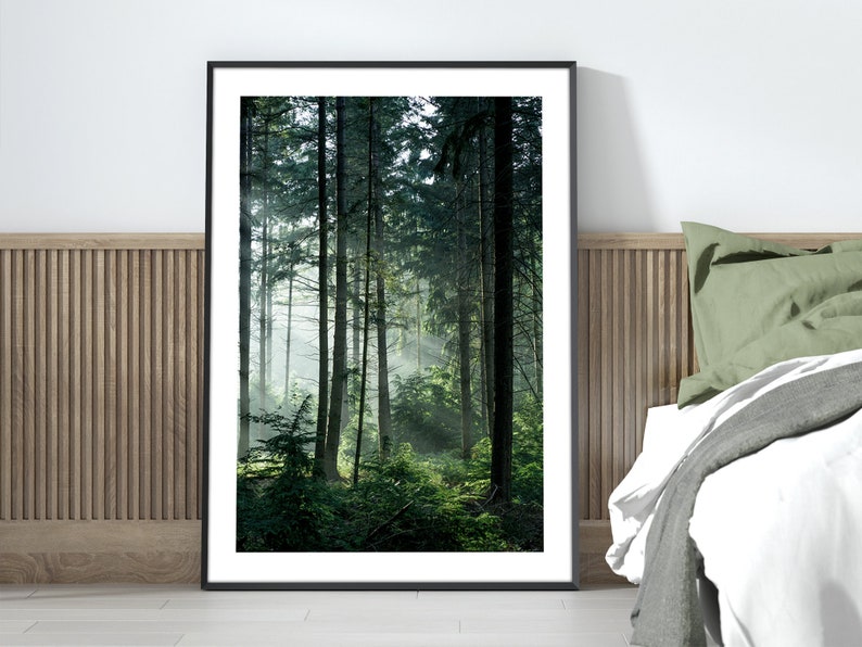 May include: A photograph of a misty forest with tall trees and green foliage. The sun shines through the trees, creating a warm glow.