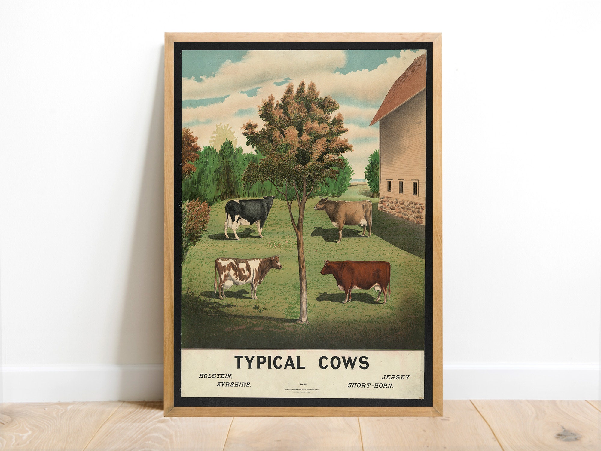 Typical Cows | Vintage Cow Decor, Cattle Poster, Animal Decor ...