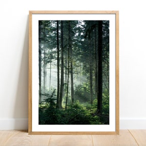 Mysterious Forest - Poster Wall Art,  Forest Print, Green Trees, Nature Decor,  ANY SIZE 20x28 11x14 24x36 A4 A5 18x24 50x70 70x100 A3 30x40