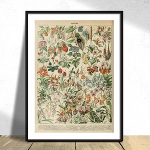 Fleurs D - Adolphe Millot | Plants Poster, Vintage Flower Print, Natural History Print, Collection of Adolphe Millot, Vintage Original
