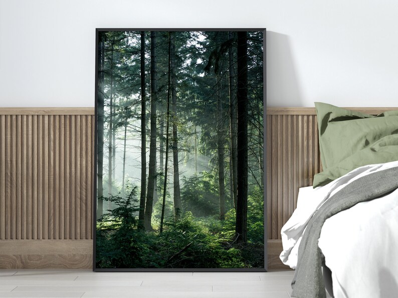 May include: A framed photograph of a lush green forest with sunlight filtering through the trees.