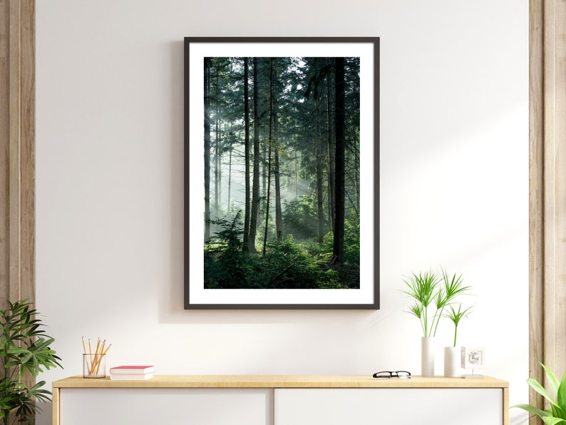 May include: A framed photograph of a misty forest scene with tall trees and green foliage. The image is in a black frame and is hanging on a white wall.
