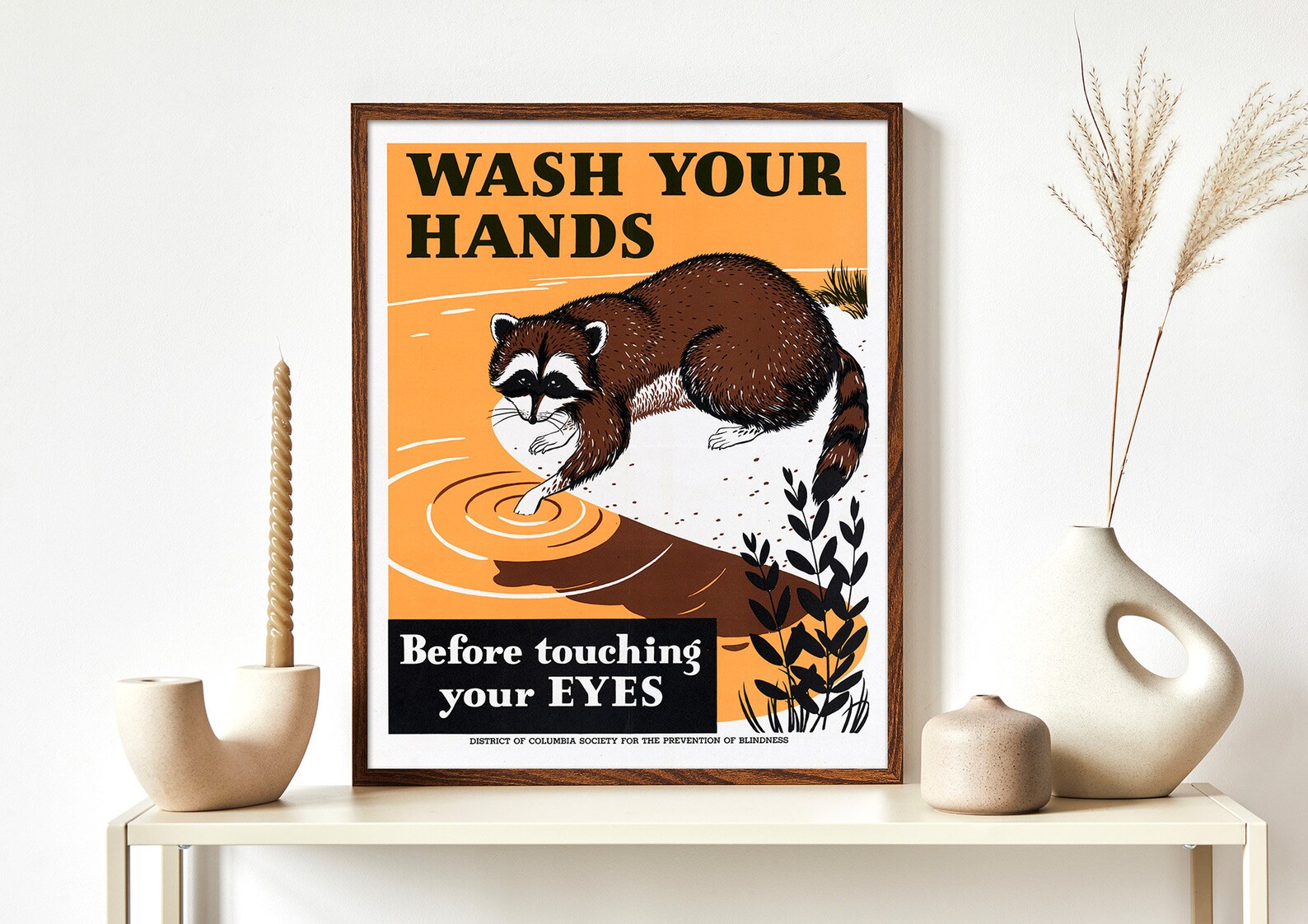 Wash Your Hands Before Touching Your Eyes - Nara | Vintage Raccoon ...