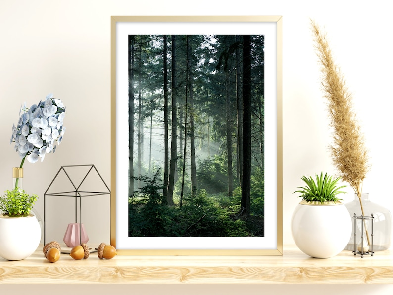 May include: A framed photograph of a lush green forest with sunlight streaming through the trees. The image is in a gold frame and is hanging on a white wall.