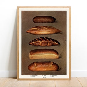 The Grocer's Encyclopedia Kitchen Decor, Reproduction Retro, Restaurant Print, Food Art, Vintage Collection, Types of Baked Bread Loaves image 3