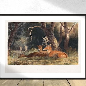 Damhirsch - Carl Larsson | Wand Dekor Kunst Poster, Vintage Druck, Wand Dez Druck, Wohndekor, rustikale Deer Dez, Natur Druck, Wald Landschaft
