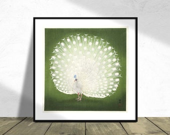 Pavo real - Ohara Koson I Impresión cuadrada, póster cuadrado, impresión vintage, imagen de arte animal, pájaro hermoso, pavo real blanco, póster de pavo real, pájaros