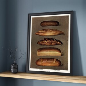 The Grocer's Encyclopedia Kitchen Decor, Reproduction Retro, Restaurant Print, Food Art, Vintage Collection, Types of Baked Bread Loaves image 4