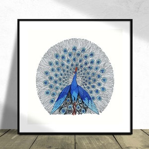 Poster di pavone, stampa vintage, immagine di arte animale, bellissimo uccello, pavone blu, stampa quadrata, poster quadrato, 30x30, 24x24, 40x40, 50x50, 36x36