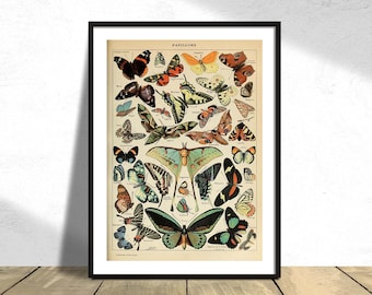Mariposas - Adolphe Millot / Impresión vintage de mariposas, ilustración botánica, póster de colección retro, tipos de mariposas, arte de historia natural