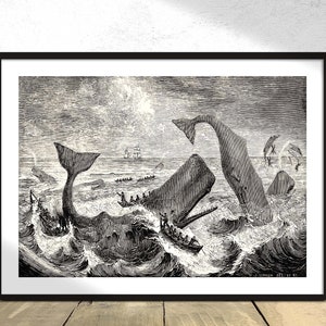 Illustration of the sperm whale while attacking fishing boat from The Natural History of the Sperm Whale  - Thomas Beale | Vintage Print, A4