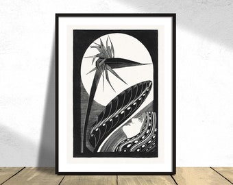 Strelitzia overblown (Uitgebloeide strelitzia)-Samuel Jessurun de Mesquita | Botanic Print, Poster Reproduction, Black and White Graphic Art