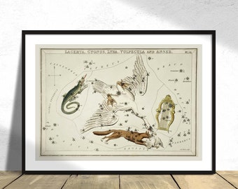 Astronomical chart illustration of the Lacerta, Cygnus, Lyra, Vulpecula and the Anser - Sidney Hall | Astrology Print Constellation Star Map