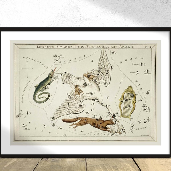 Illustration de la carte astronomique des Lacerta, Cygnus, Lyra, Vulpecula et de l'Anser - Sidney Hall | Carte d'étoiles de constellation d'impression d'astrologie