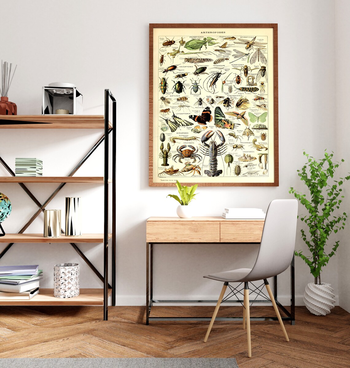 Puzzle 1000 Pièces MyPuzzle – Affiche Arthropodes Adolphe Millot, Premium, Made In Germany