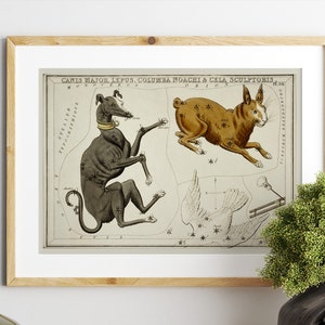 Astronomical Chart Illustration of the Canis Major, Lepus, Columba ...