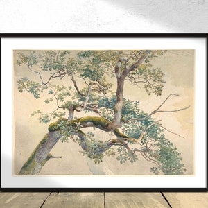 Tree Branches old drawing | Botanic Print, Tree wall art, Vintage Art, Poster Reproduction, Retro Gift, Landscape Dec, Vintage Tree, Rustic