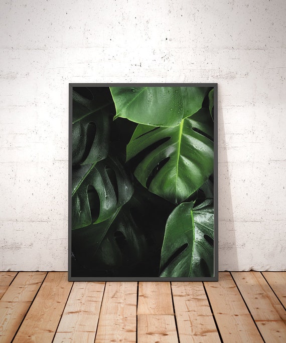 Monstera Printed Poster Art Green Plant Posters Leaves Wall | Etsy