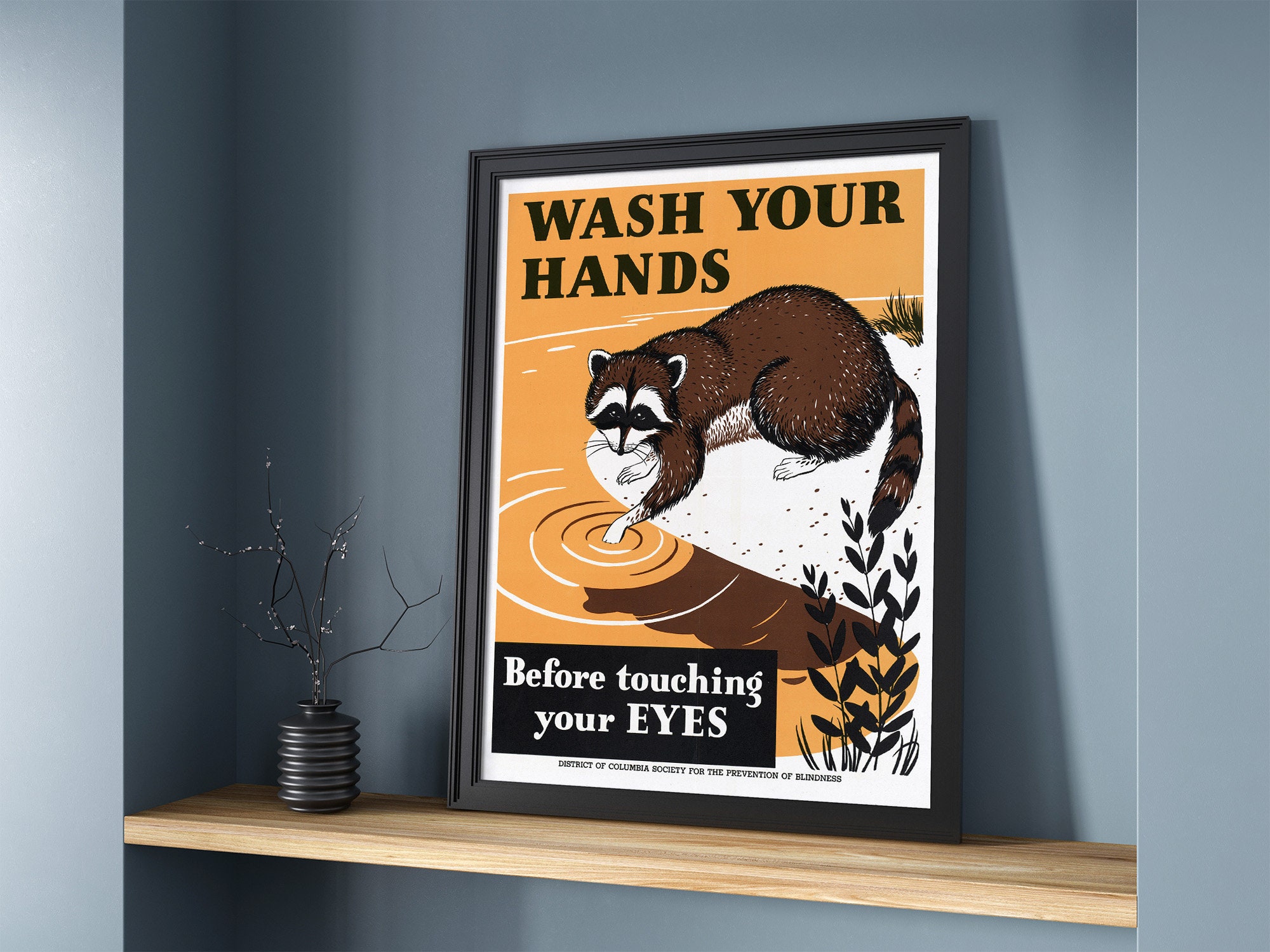 Wash Your Hands Before Touching Your Eyes - Nara | Vintage Raccoon ...