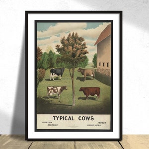 Typische Kühe | Vintage Kuh Dekor, Rinder Poster, Tierdekor, Bauernhaus Wandkunst, Bauernhof Tiere Druck, rustikale Küche Dez, Landhaus Dez