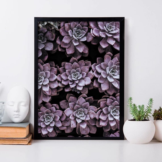 SUCCULENT PRINT Summer Poster Plant Wall Art Tropical Home Decor A3//A4 FRAMES