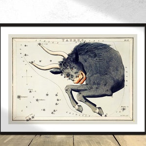 牡牛座の天文図イラスト - シドニー ホール | 占星術プリント、星座星図、牡牛座ポスター、レトロな星座、動物