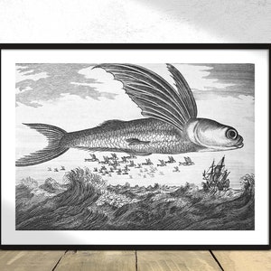 Vintage Illustration of a flying fish and the village of Lan-tang, near Ma-kau published in 1745-1747 - Thomas Astley | Vintage Print, Fish