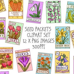 Seed Packet Clipart Set 12 x PNG Images Spring Garden and | Etsy