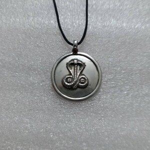 Könnte beinhalten: Silberne Halskette mit Anhänger und schwarzem Band. Der Anhänger ist rund und zeigt ein detailliertes Bild einer Kobra mit erhobener Haube.