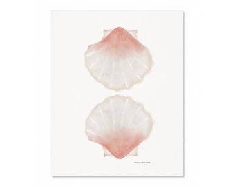 Watercolor Shell Print - Coastal Watercolor - Abstract Seashell Painting