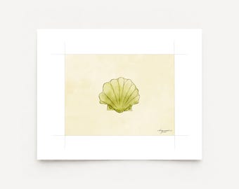 Green Shell Watercolor Print on Fine Art Paper - Coastal, Tropical, Beach, Florida, Ocean Art