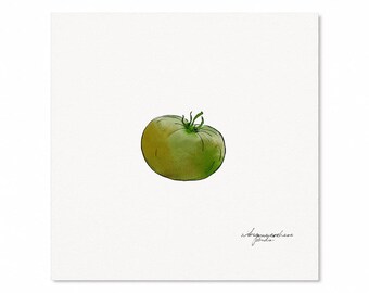 Green Heirloom Tomato Watercolor Square Print -  Summer, Farm, Vegetable, New England Art