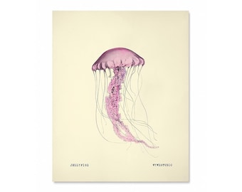 Vintage Look Scientific Pink Jelly Fish Watercolor Print