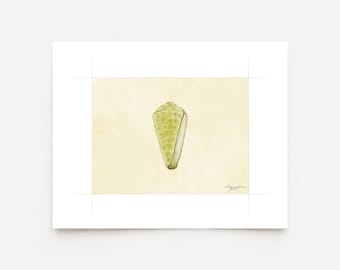 Green Spiral Shell Watercolor Print on Fine Art Paper - Coastal, Tropical, Beach, Florida, Ocean Art