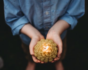 Beeswax Candle - Pinecone / Pinecone Candle, Eco Friendly, Beeswax, Candles