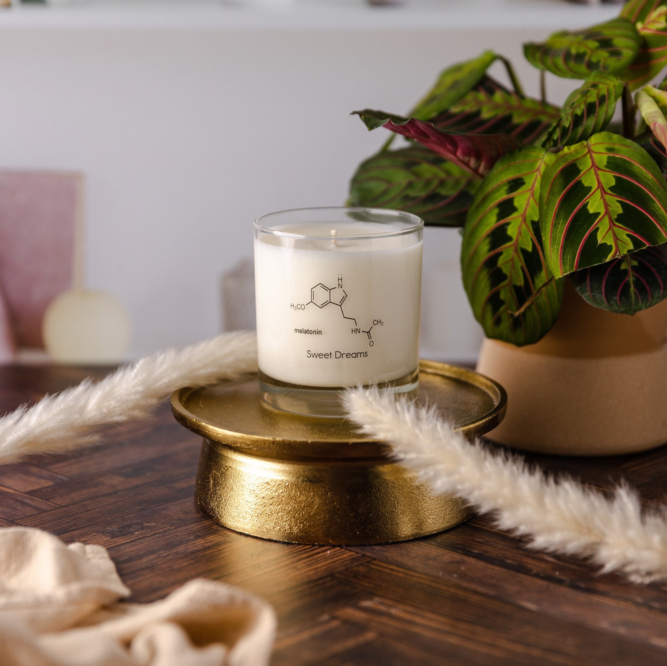 5 Coastal Scented Candles for Ultimate Beach House Vibes - Jackpot Candles