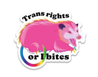 Trans Rights Possum Sticker: Pride Holographic Vinyl Decal