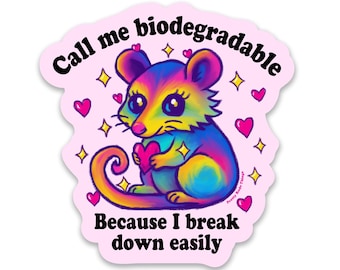 Call Me Biodegradable Because I Break Down Easily, Cute Possum Holographic Sticker, Sensitive Person Sticker, Social Anxiety Rainbow Sticker