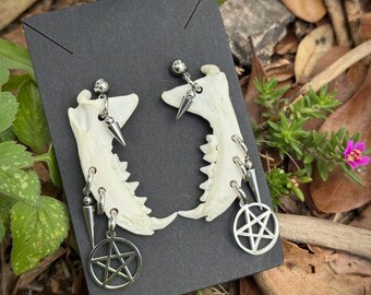 Kolczyki ochronne z kości szczęki norek