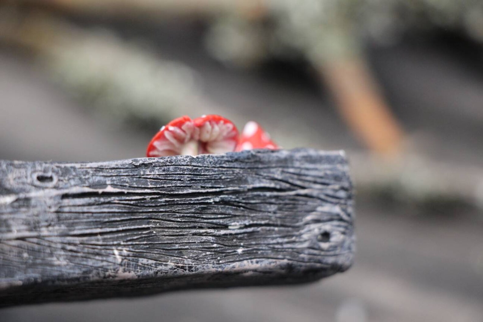 Magic mushrooms coffin Original customized Halloween gift Etsy